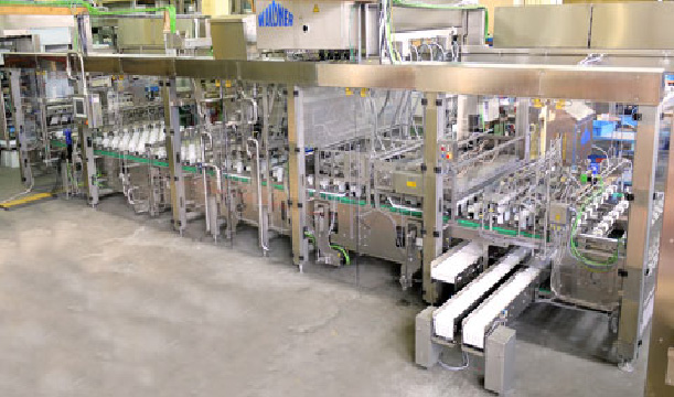 automatic pouch filling and sealing machine