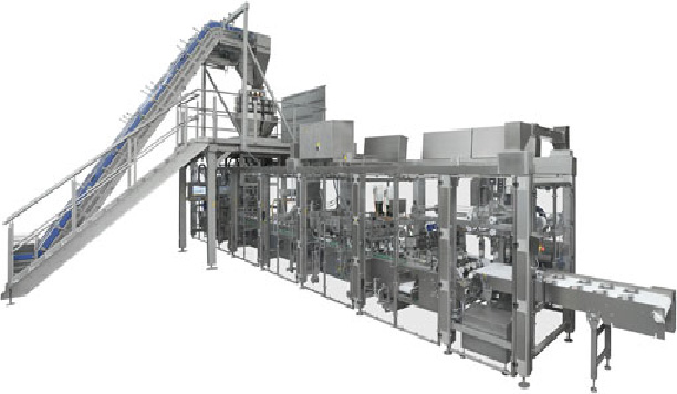 pouch packing machine